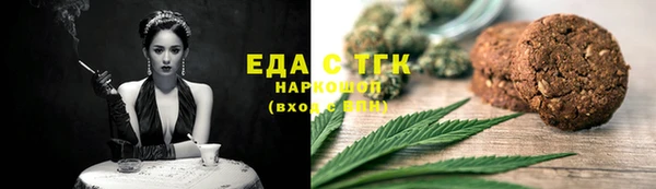 тгк Абаза