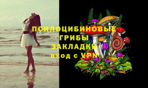 прущие грибы Лиски