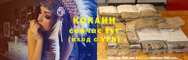 тгк Абаза