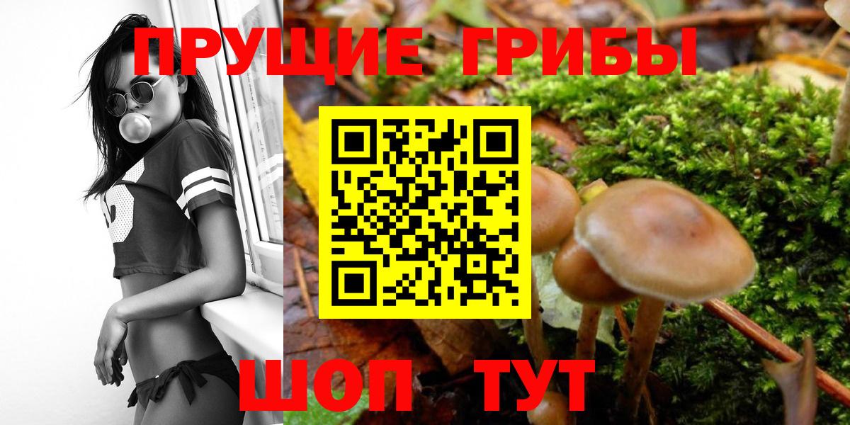 Галлюциногенные грибы мухоморы Каменск-Уральский